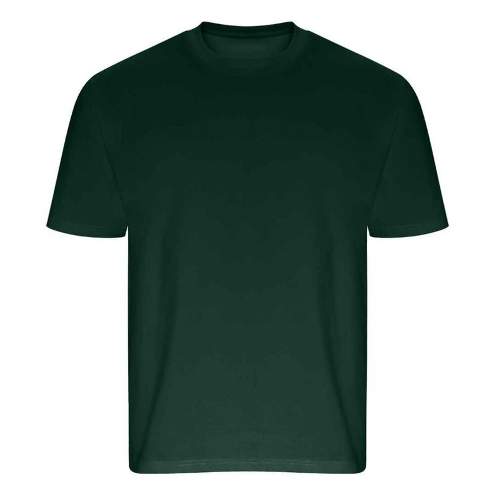 Ecologie Unisex Adult Arrow Recycled Heavy Oversized T-Shirt / Green